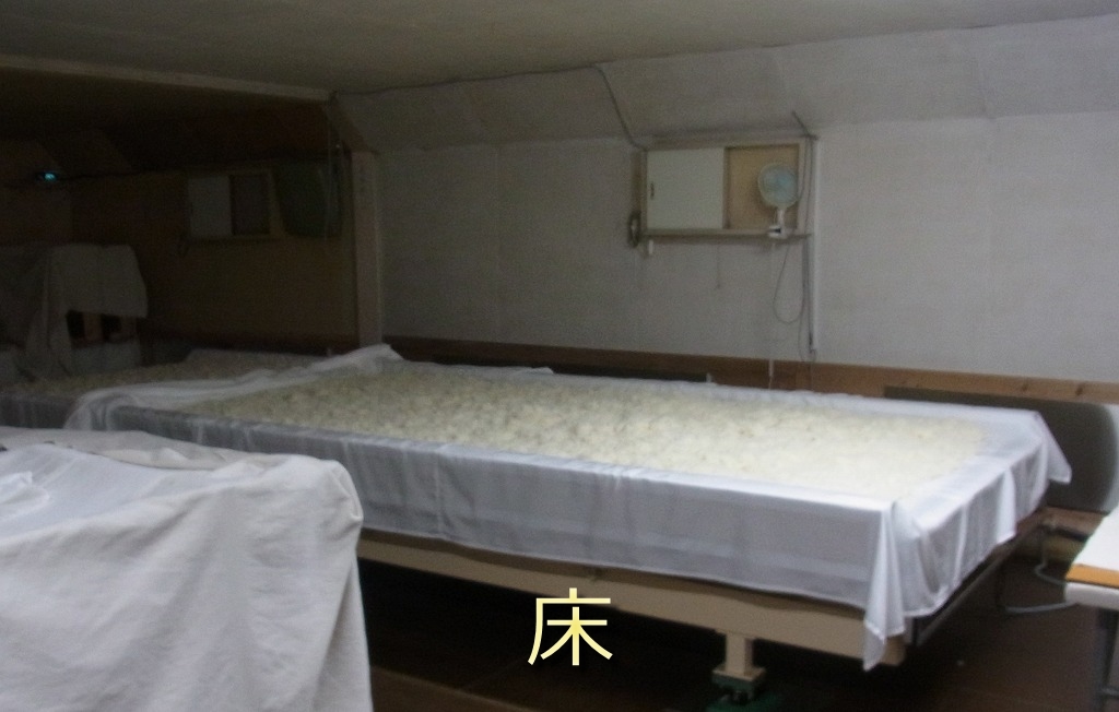 日本酒基礎講座(17)「製麹.1」 – 酒chいし井